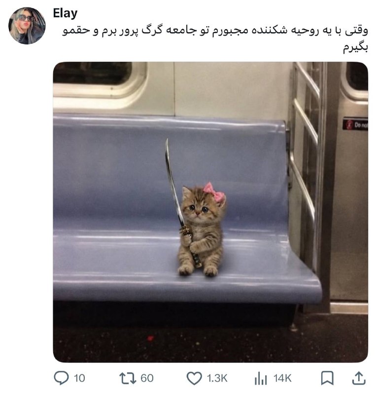دیاستومی: @Diastomii