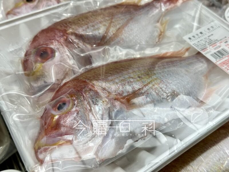優惠情報看這裡 