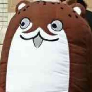 记者的舰娘笔记 Telegram Group Link