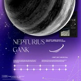 PARTNER NEPTURIUS