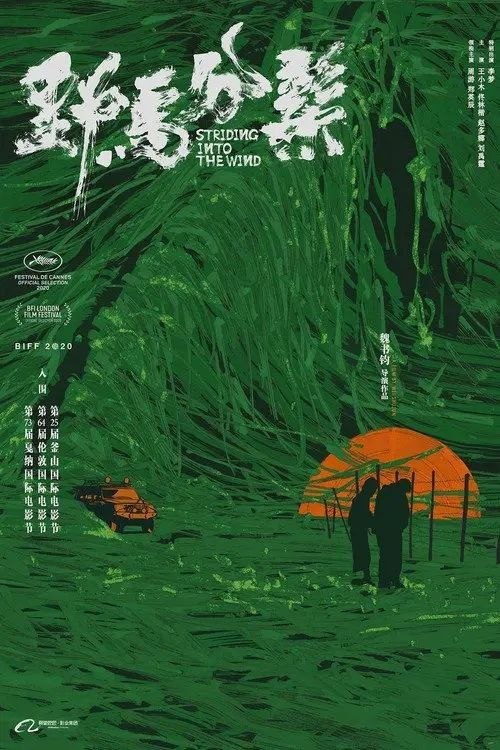 名称：野马分鬃 (2020) 4K 高码