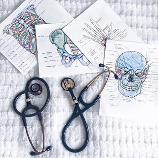 Norcet bsc nursing notes Telegram Group Link