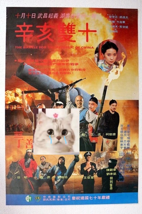 辛亥双十