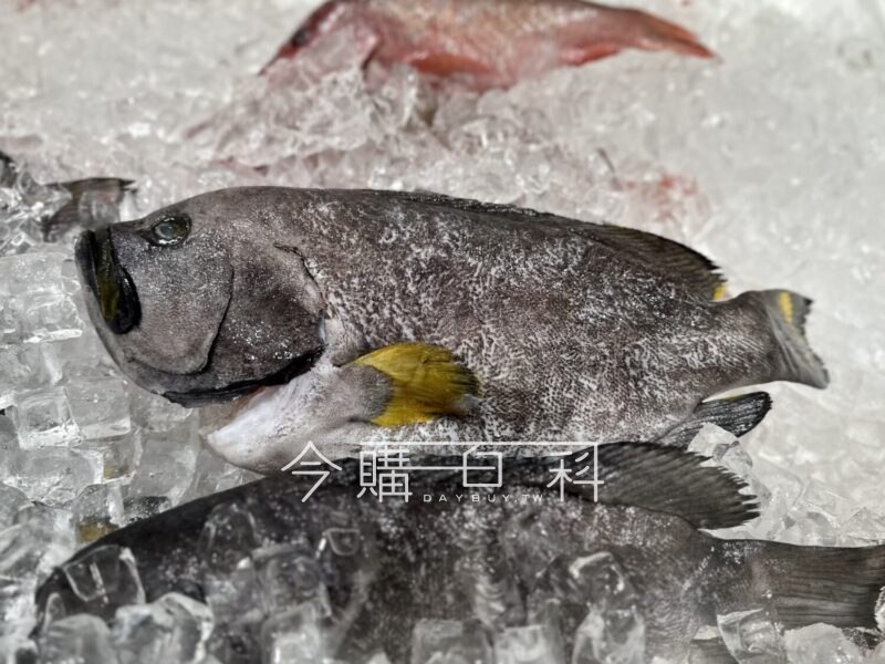 新品情報看這裡 