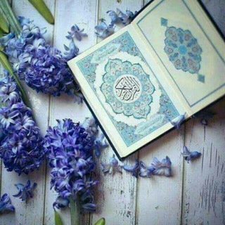 Qur'an~Sunnah💐📖urdu~hindi Telegram Group Link
