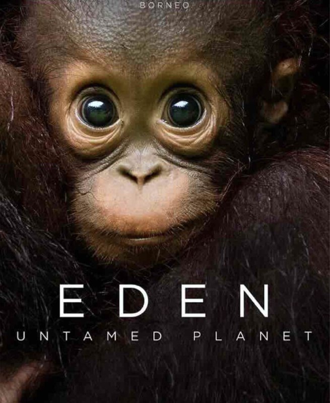 伊甸园：最后的秘境