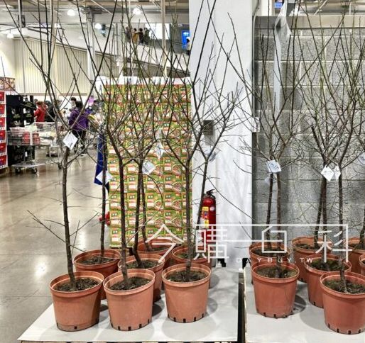 新品情報看這裡 