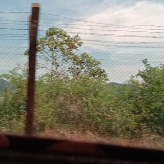 FILM MALAYSIA REQUEST Telegram Group Link