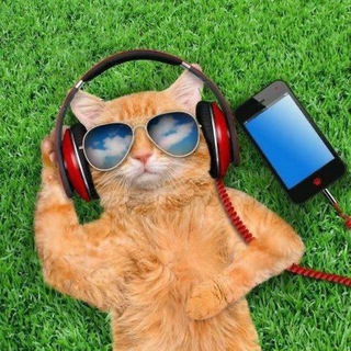 English/VoiceChat Group Telegram Group Link