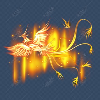 💥 GRUOP💥 AE NHẢY VIỆC 🔥 MỘC BÀI🌈🌈🌈🔥🔥 PHƯỢNG HOÀNG LỬA🔥🔥🔥