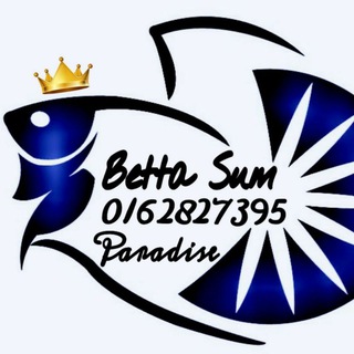 BETTA SUM PARADISE BIDDING🐠🐟 Telegram Group Link
