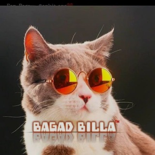 Bagad_billa😂🤣 funny meme videos uploaded Telegram Group Link