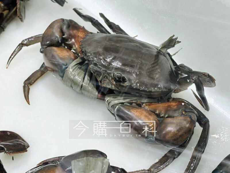 新品情報連結 