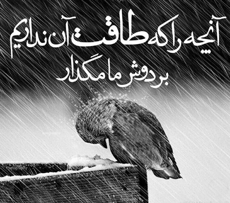 سخنان دلـنشین و زیبا ❤: خدایا...🤍خودت ما رو آفریدی و می دونی کم طاقتیمصبر نداریم خیلی جاها کم میاریمپس خودت مواظبمون باش و تو سختیها کمکمون کن ک