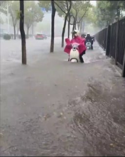 #Update Най-малко 132 души бяха убити, стотици бяха ранени, а десетки сгради се срутиха след мощно земетресение от 7,4 метра, което удари няколко града в Колумбия. Католическа връзка