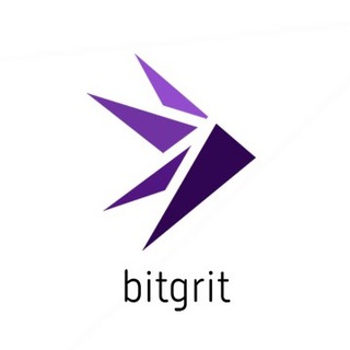 bitgrit Data Science Community logo