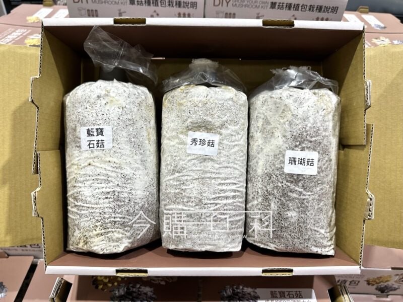 新品情報連結 