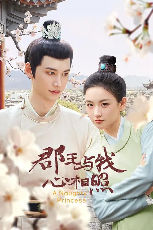 郡王与我心相照（2025）