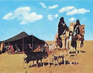 1960年代的阿尔及利亚图阿雷格人图阿雷格人（Tuaregs）是生活在撒哈拉沙漠地区的游牧民族，主要分布在阿尔及利亚、马里、尼日尔和利比亚。他们有着独特的语言、文化和穿着风格（比如戴面纱的男性）。