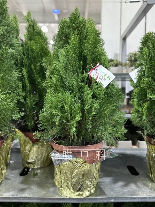 新品情報連結 