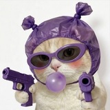 Meow Panel