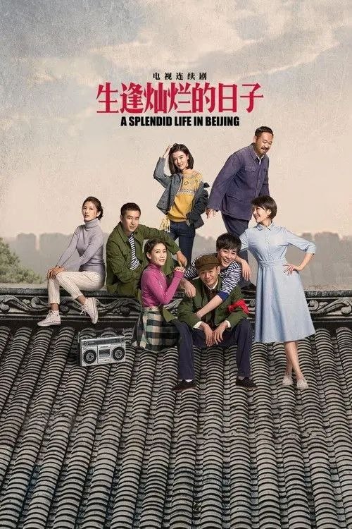 名称：生逢灿烂的日子 (2017) 4K SDR 全集