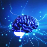 Brainstorm Alphas