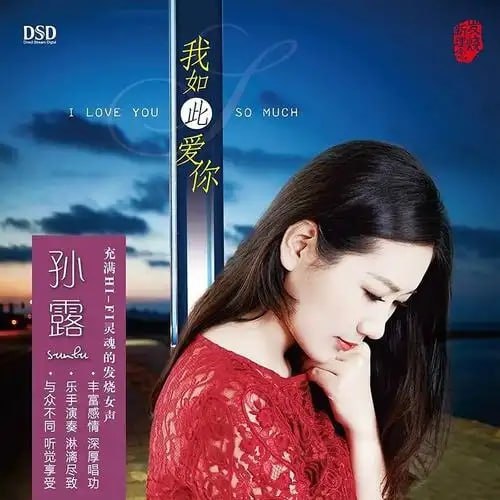 孙露 - 我如此爱你 DSD描述