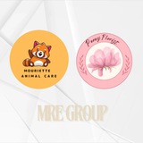 MPPS MRE GROUP