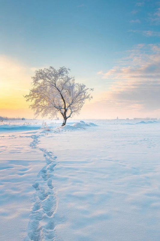 大雪至，岁暮迟今天23时17分我们将迎来冬天的第三个节气——大雪