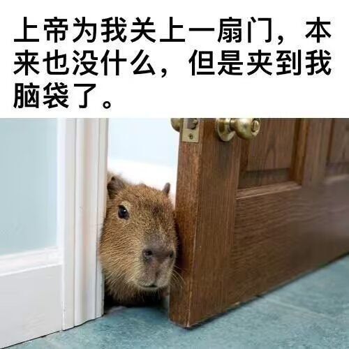 我们这几届计算机专业大学生学到一半发现要被 AI 干掉 belike