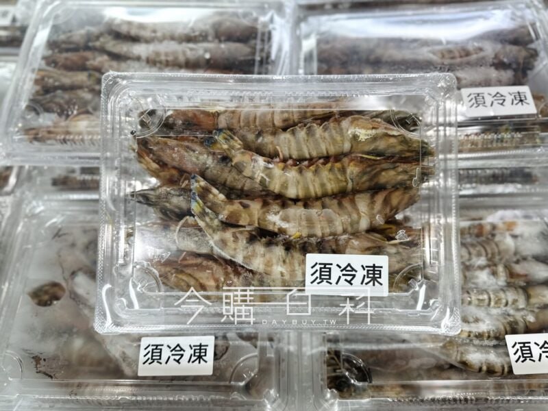 優惠情報連結 