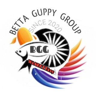 BETTA GUPPY GROUP BIDDING&SALES(BGG)