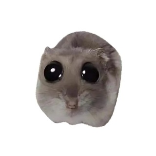 Telegram profile photo for (не)Грустный хомяк