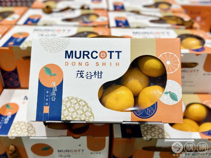 完整情報 