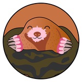 $MOLLY The Mole | Portal