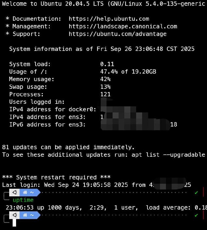 建站服务器，在线1000天