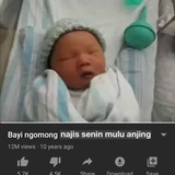 Teman Verdant