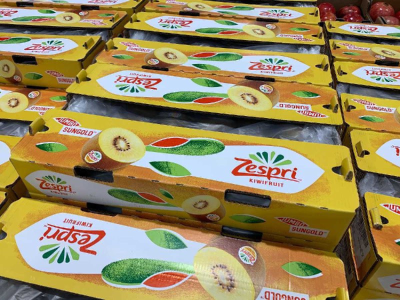 #Costco好市多01月新品通知ZESPRI 義大利陽光金圓頭奇異果 #64280