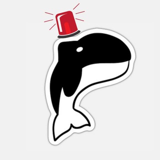 Telegram profile photo for Whale Alert 🚨🚨🚨