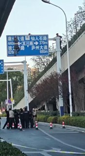 不是，你怎么爬上去的啊？就让她掉下来呗，又摔不死！👀精品资源 🔎全网搜索