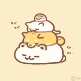 タヌキパラダイス