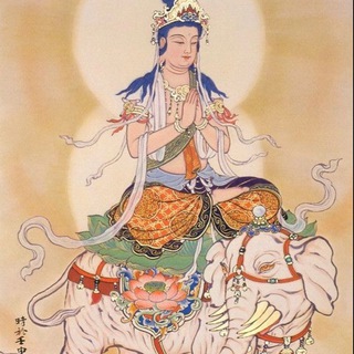菩萨粉群（🈲️广告）