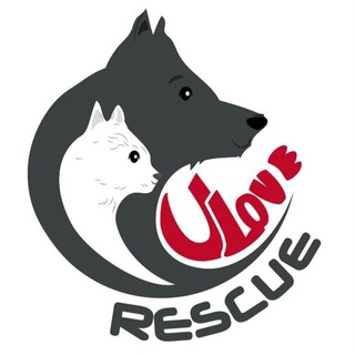 United Love Telegram Group Link