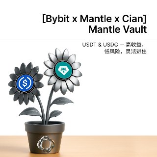🔥 [Bybit x Mantle x Cian] Mantle Vault 重磅上线：稳定币链上收益策略，稳守收益，灵活拓展