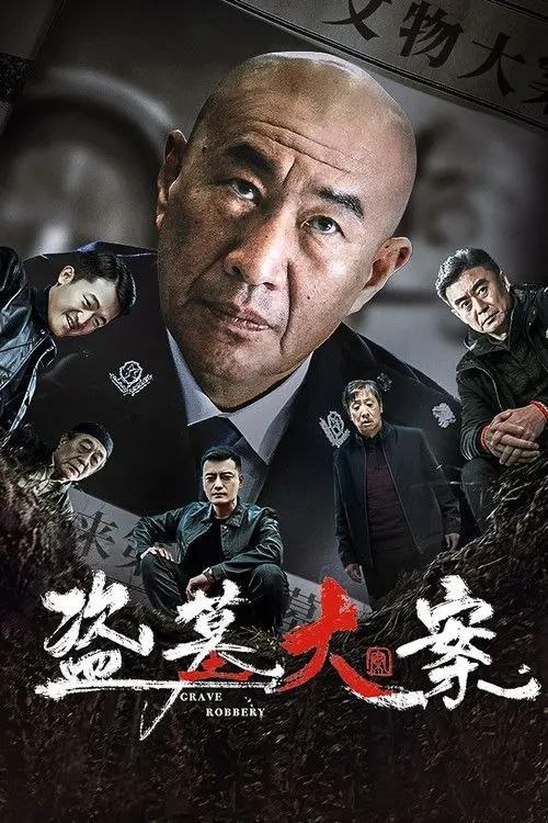 名称：盗墓大案 (2026) 4K 高码