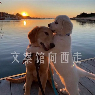 Telegram profile photo for 文案馆向西走/头像/素材