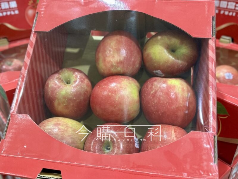 優惠情報連結 