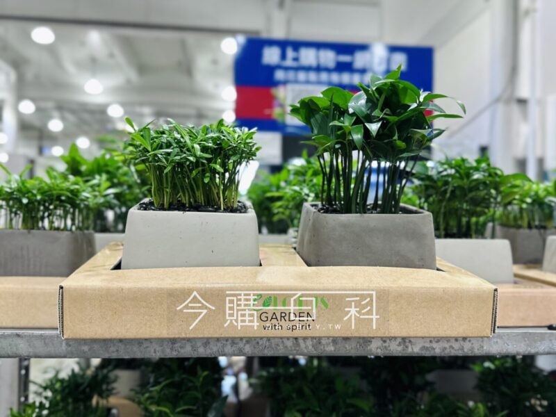 新品情報連結 