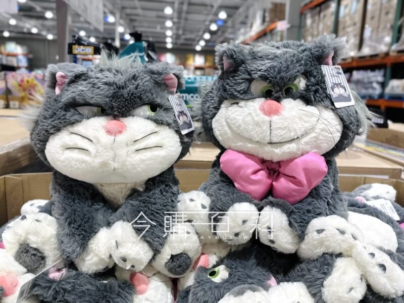 新品情報看這邊 